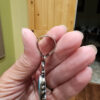 Daniel Benally Signed Pendant, HIGH GRADE Royston Turquoise