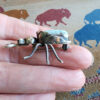 Lucille Platero Beetle Pin, wear as a pendant