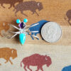 Sleeping Beauty, Amethyst and Sonoran Turquoise Bug