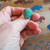 20260129_171201 Justine Tso Everyday Royston Turquoise Ring, size 8